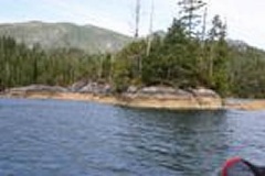 grise bay 004