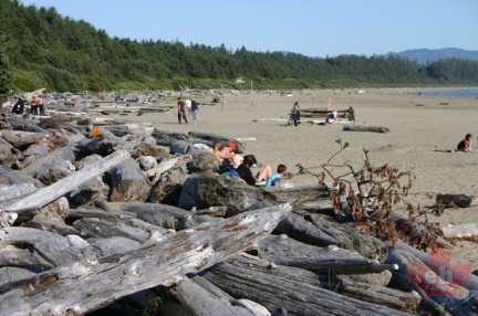 chesterman beach 009