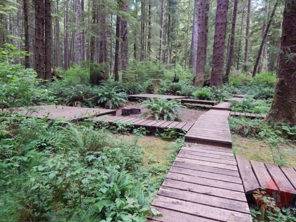 camp-ericlake220140715 3734