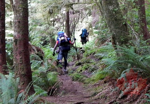trail-pre-nissanbight20140715 3743 (616 visits) trail-pre-nissanbight20140715 3743
