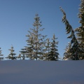 mt washington 002