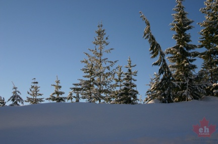 mt washington 002