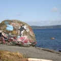 121campbell river 002