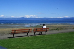 qualicumwaterfront3..jpg