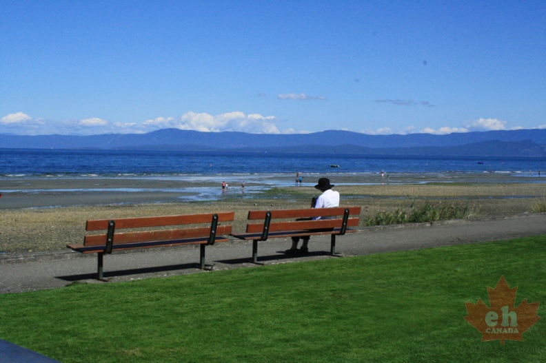 Waterfront Walkway 
