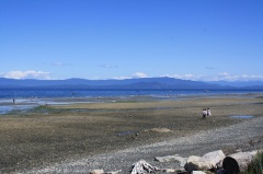 qualicumwaterfront3.jpg