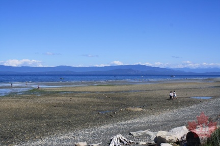 Waterfront Walkway 