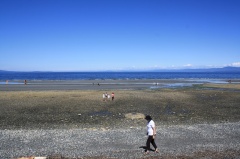 qualicumwaterfront2.jpg
