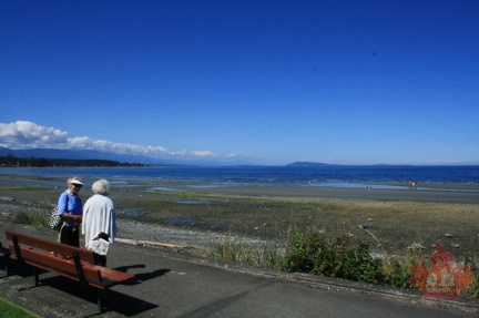 Waterfront Walkway 