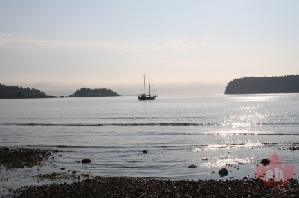 Departure Bay Sunrise