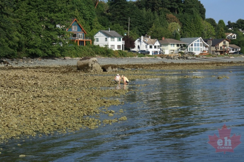 departurebay4.jpg
