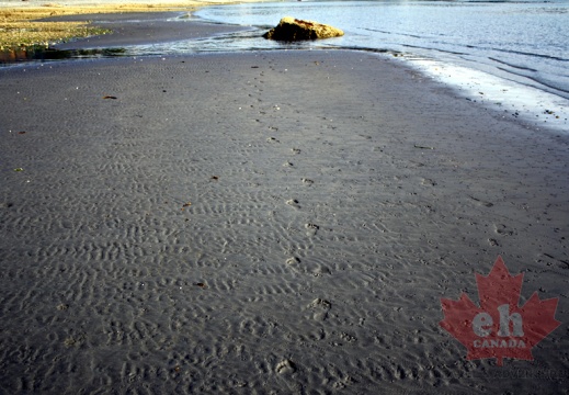 Footsteps in the sand