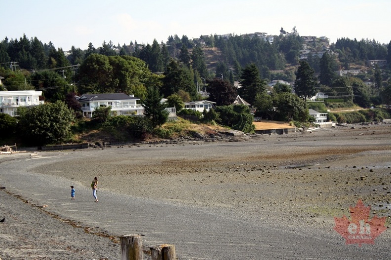 Walking Departure Bay Beach