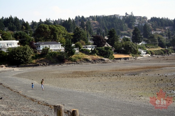 Walking Departure Bay Beach