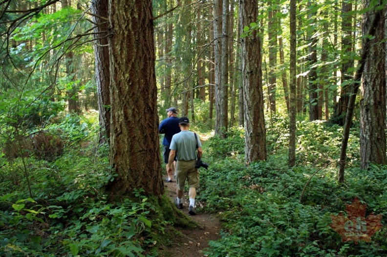 Hiking