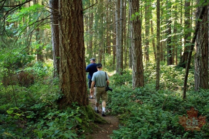 Hiking