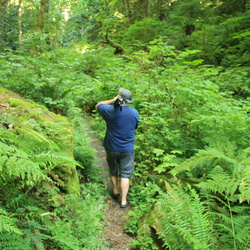 Eves Provincial Park