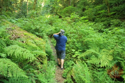Hiking Trail
