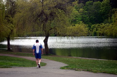 Out for a walk