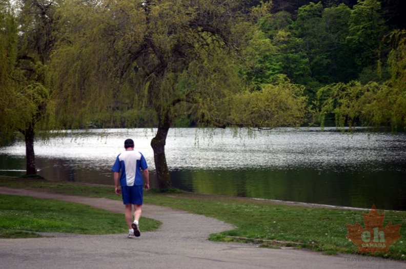 Out for a walk