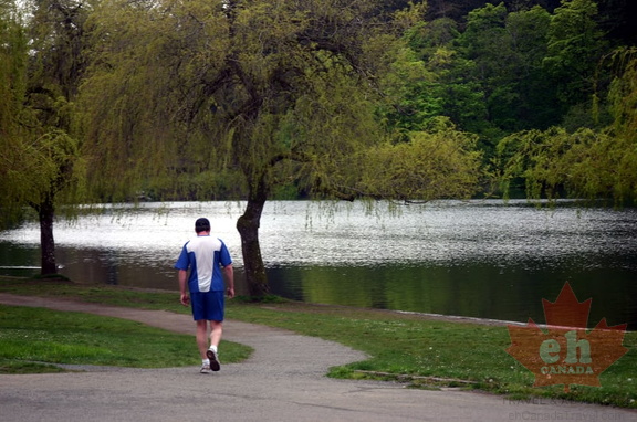 Out for a walk