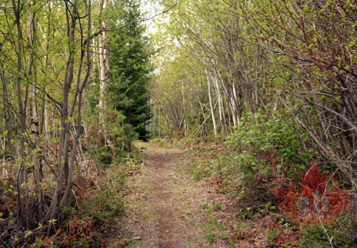 Bluffs Loop Trail
