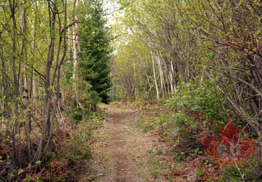 Miral Heights Trail (1184 visits) Miral Heights Trail in Trail, BC Miral Heights Trail