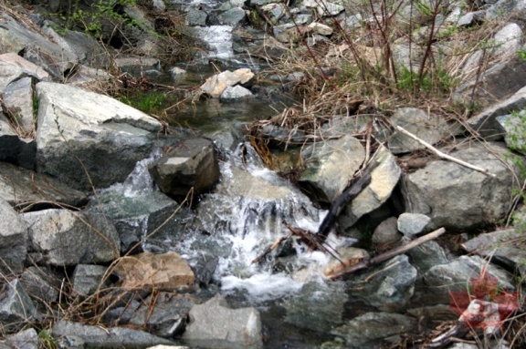 Mcquarrie Creek 