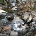 Mcquarrie Creek 