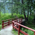 Gyro Park pathway 