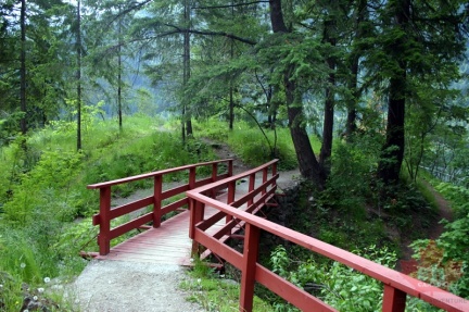 Gyro Park pathway 