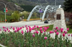 Columbia River Bridge