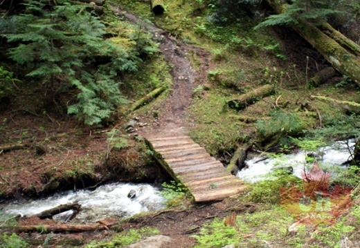 Kimbol Trail