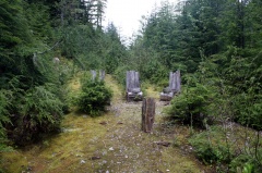 Throne Chairs