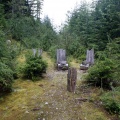 Throne Chairs