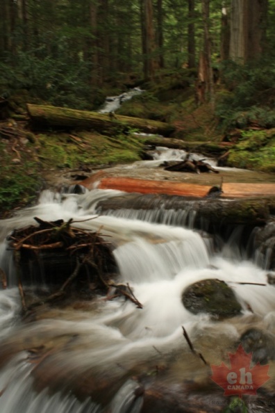 Creek on Trail
