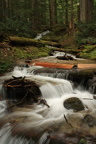 Creek on Trail
