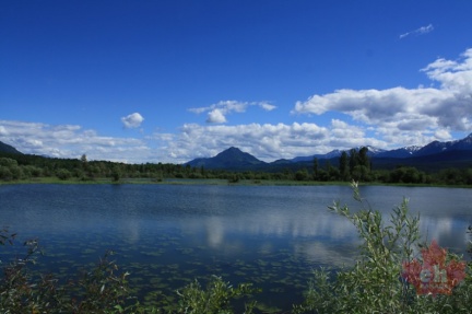 Columbia Wetlands