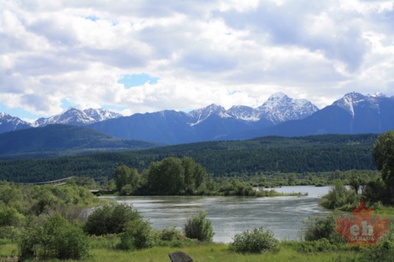 Views of Wetlands