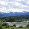 Views of Wetlands
