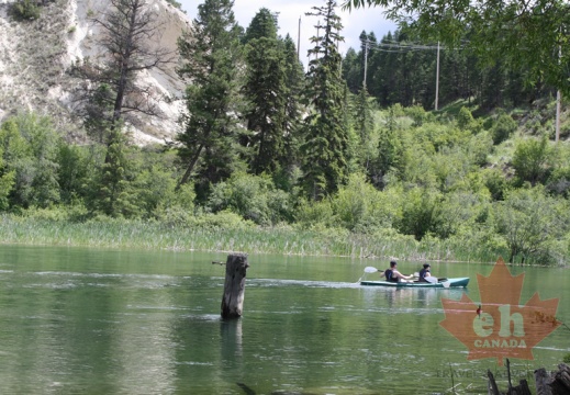 Canoeing the Wetlands