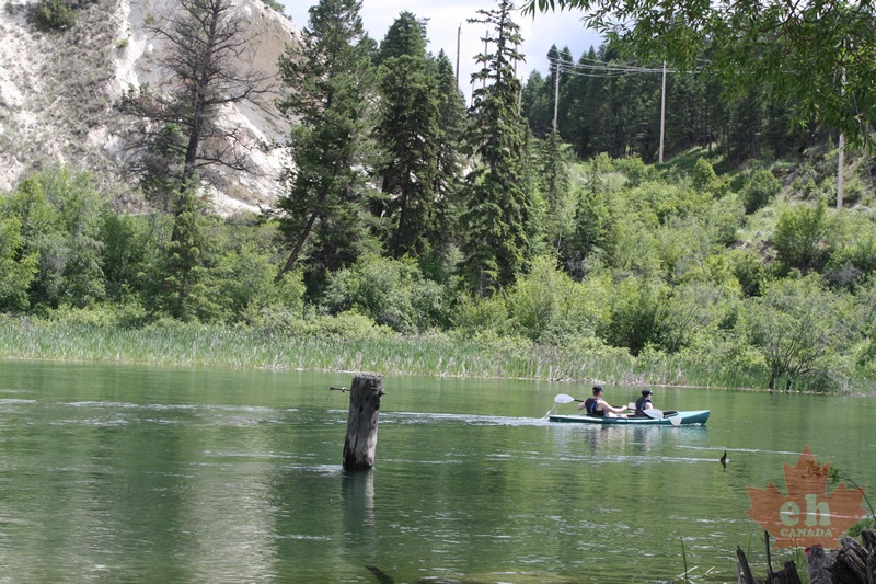Canoeing the Wetlands
