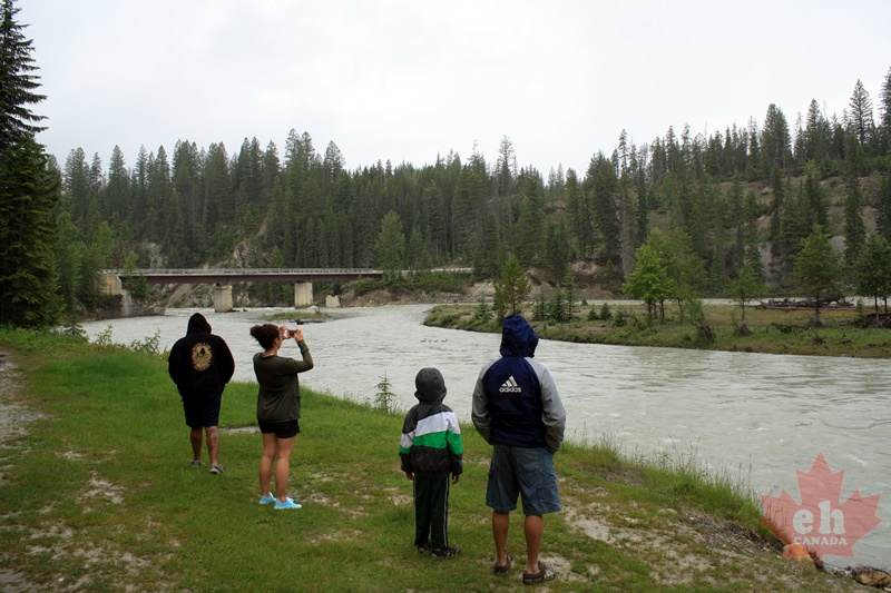 Sightseeing in the back country