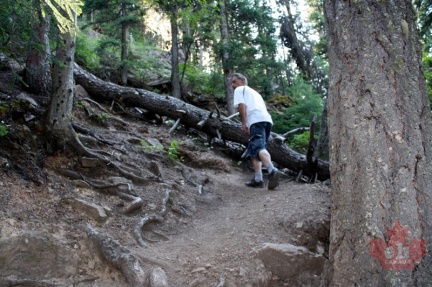 Hiking Trail