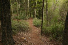 trail 004
