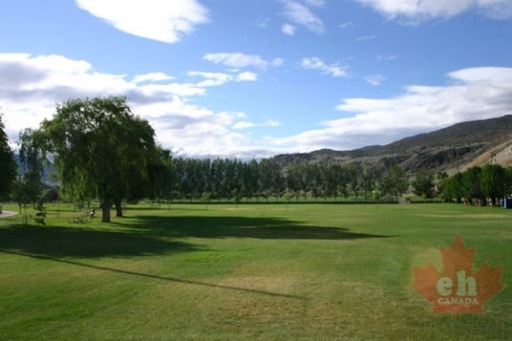 field