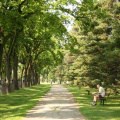trail-59 (419 visits) trail-59