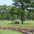 bench-people-52