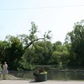 duck-ponds-66