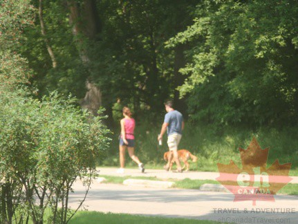 trail-dog-walking-67 (429 visits) trail-dog-walking-67